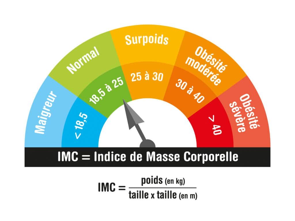 Mon IMC 1 IMC