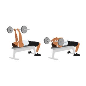 barre front(Skull Crushers)