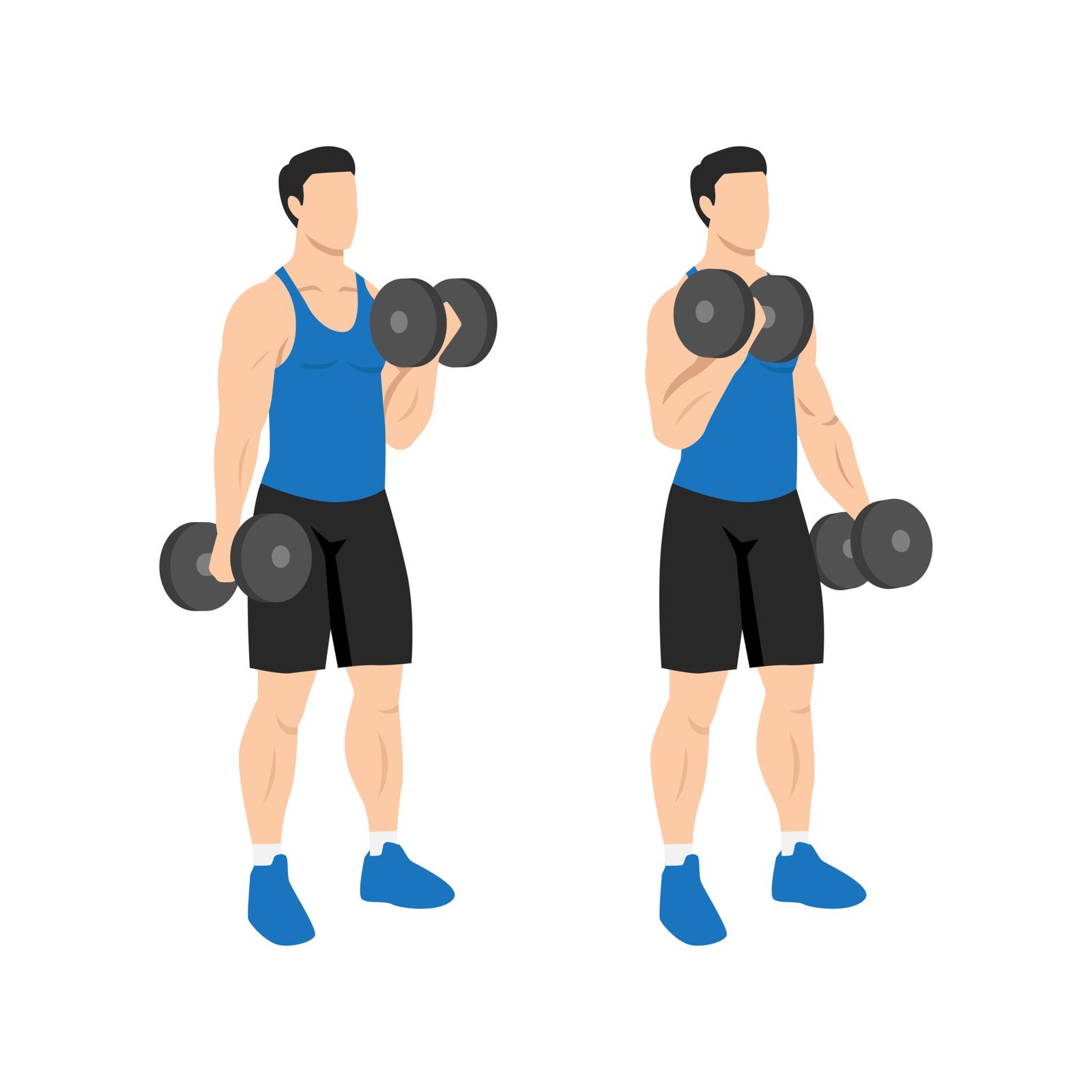 cure biceps alterné avec haltères