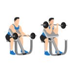 BICEPS 13 Curl Pupitre Barre EZ