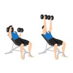 BICEPS 14 Développé incliné aux haltères prise inversée