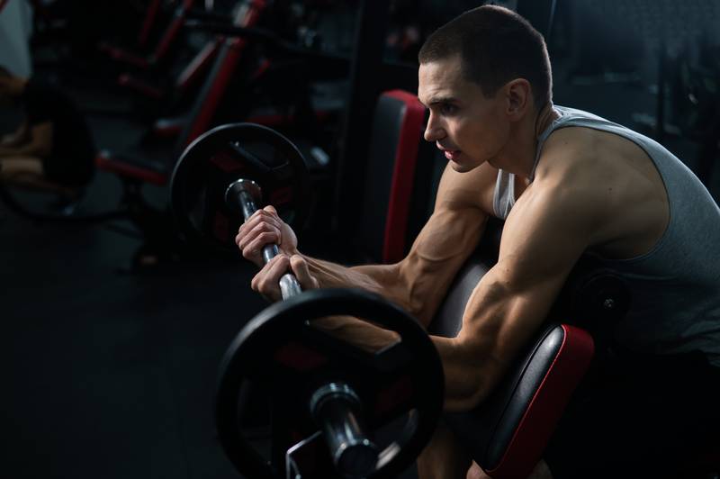 LE HAUT DU CORPS 5 biceps