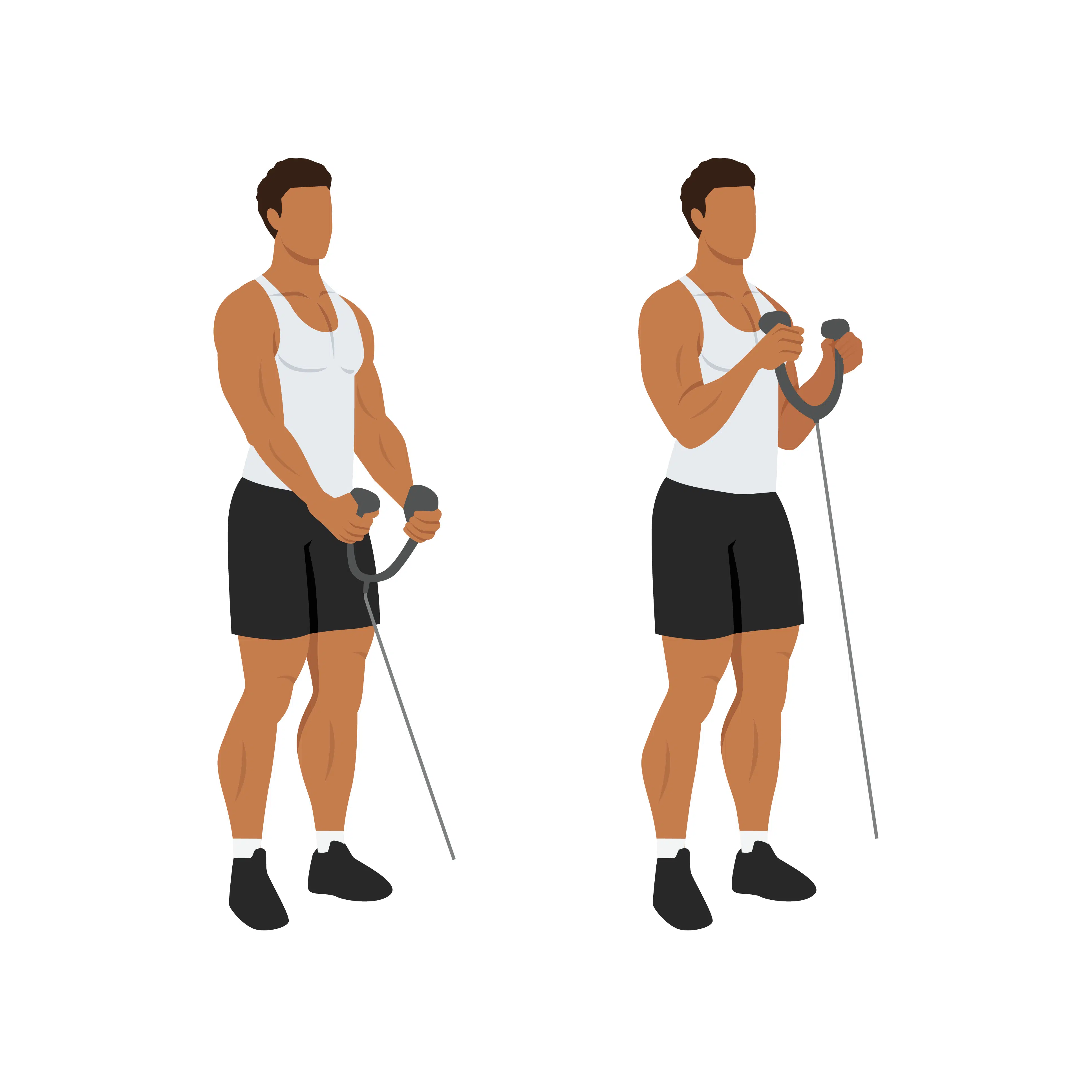 Variante du curl biceps à la poulie basse réalisée avec une corde
