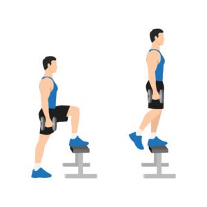 Montées sur banc avec haltères Dumbbell step ups exercise.