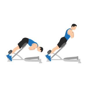 Derniers articles 10 Back extension/Extensions lombaires