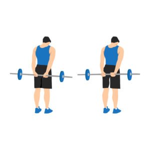 Derniers articles 10 Curl derrière le dos pour les avant-bras