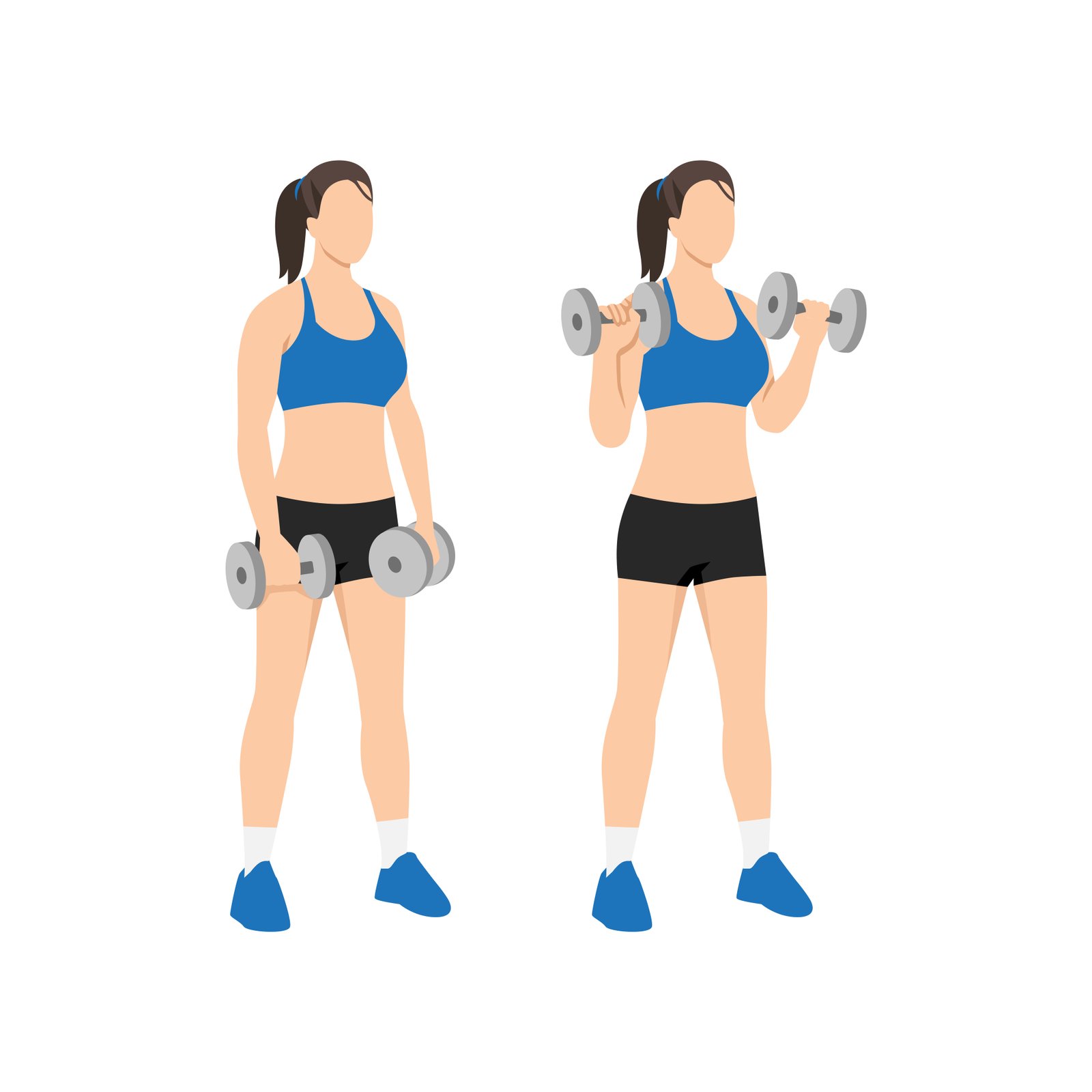 Curls inversés pour les biceps avec haltères