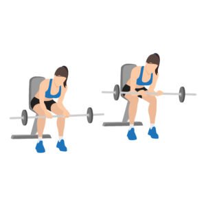 Derniers articles 9 Curl de poignet assis avec une barre(avec paume vers le bas )