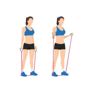 Curl de biceps avec élastique