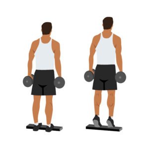 Élévations sur les pointes de pieds avec haltères