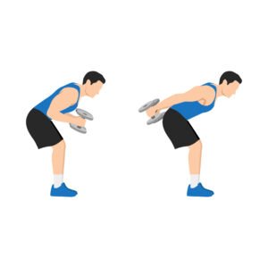 Kickbacks des triceps à deux bras penché en avant