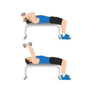 Les extensions des triceps avec haltères en position couchée