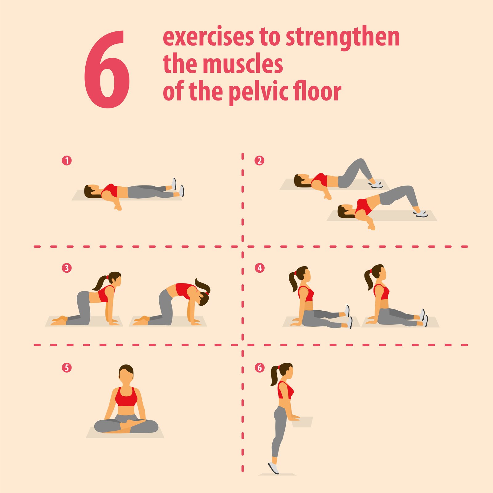 Planche illustrant six exercices de renforcement du plancher pelvien : contraction allongée, pont fessier, squat, respiration diaphragmatique, travail sur ballon et étirement