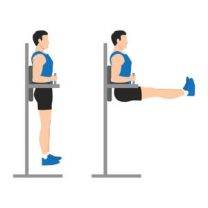 Le relevé de jambes à la chaise romaine