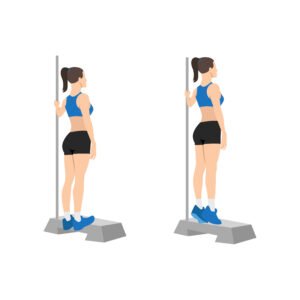 Élévations sur les pointes de pieds, Bodyweight calf raises exercise.