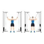 Curl Biceps Debout à la Poulie Vis-à-Vis