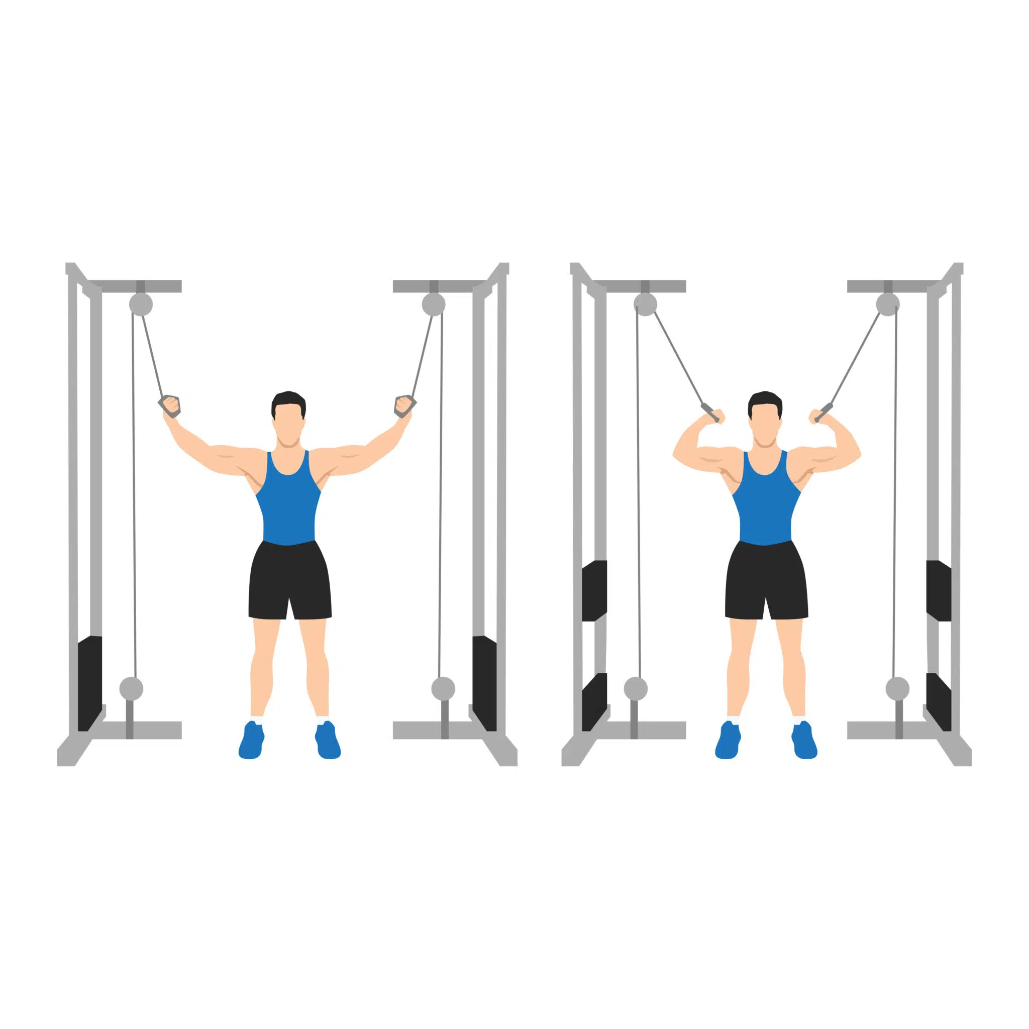 Curl Biceps Debout à la Poulie Vis-à-Vis