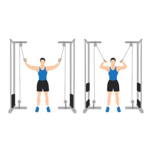 Curl Biceps Debout à la Poulie Vis-à-Vis