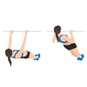 Tractions inversées