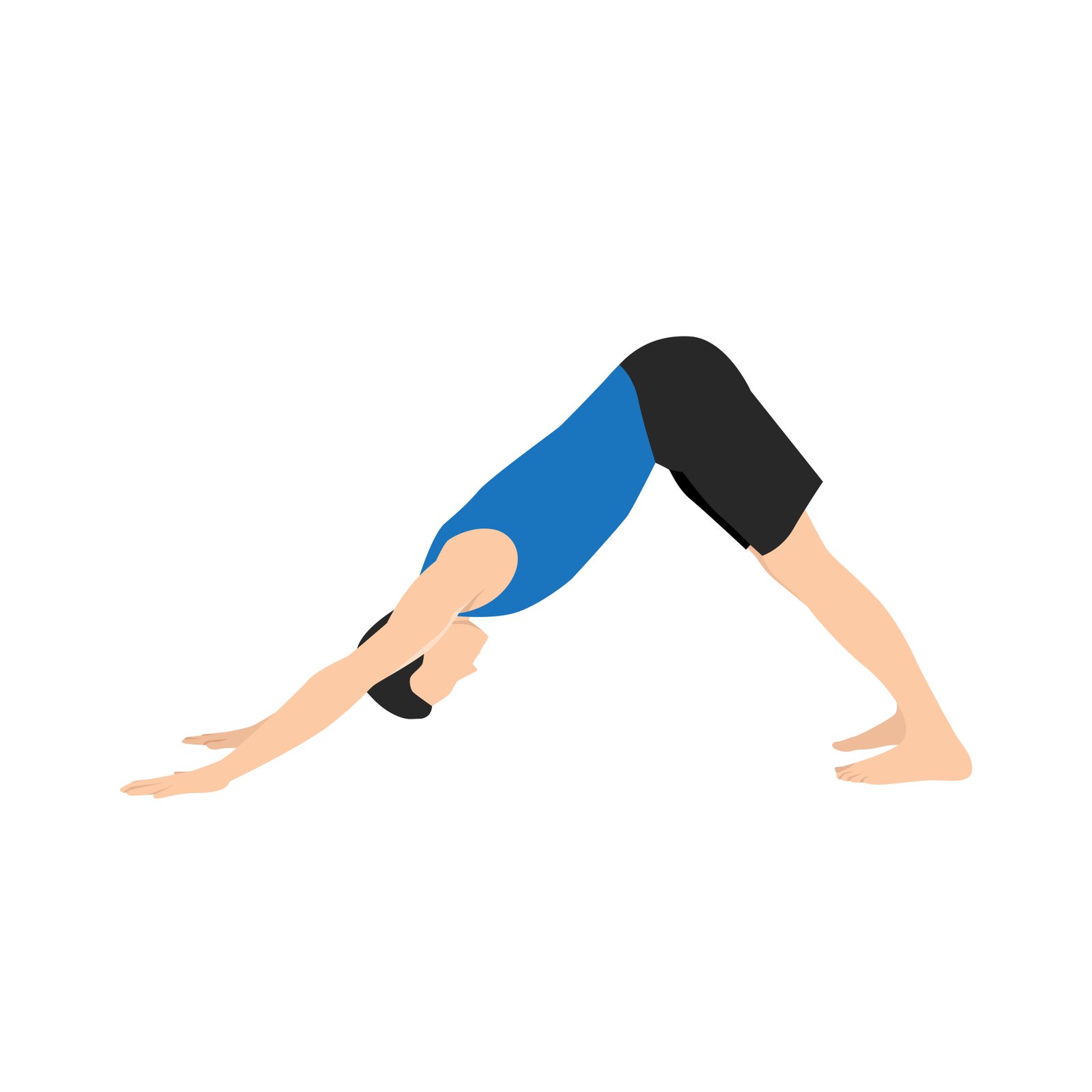 Posture du chien tête en bas (Adho Mukha Svanasana) : corps en V inversé, mains et pieds au sol