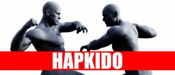 Le Hapkido : Un art martial coréen polyvalent