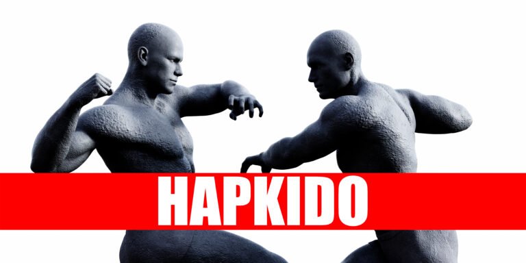 Hapkido sport de combat