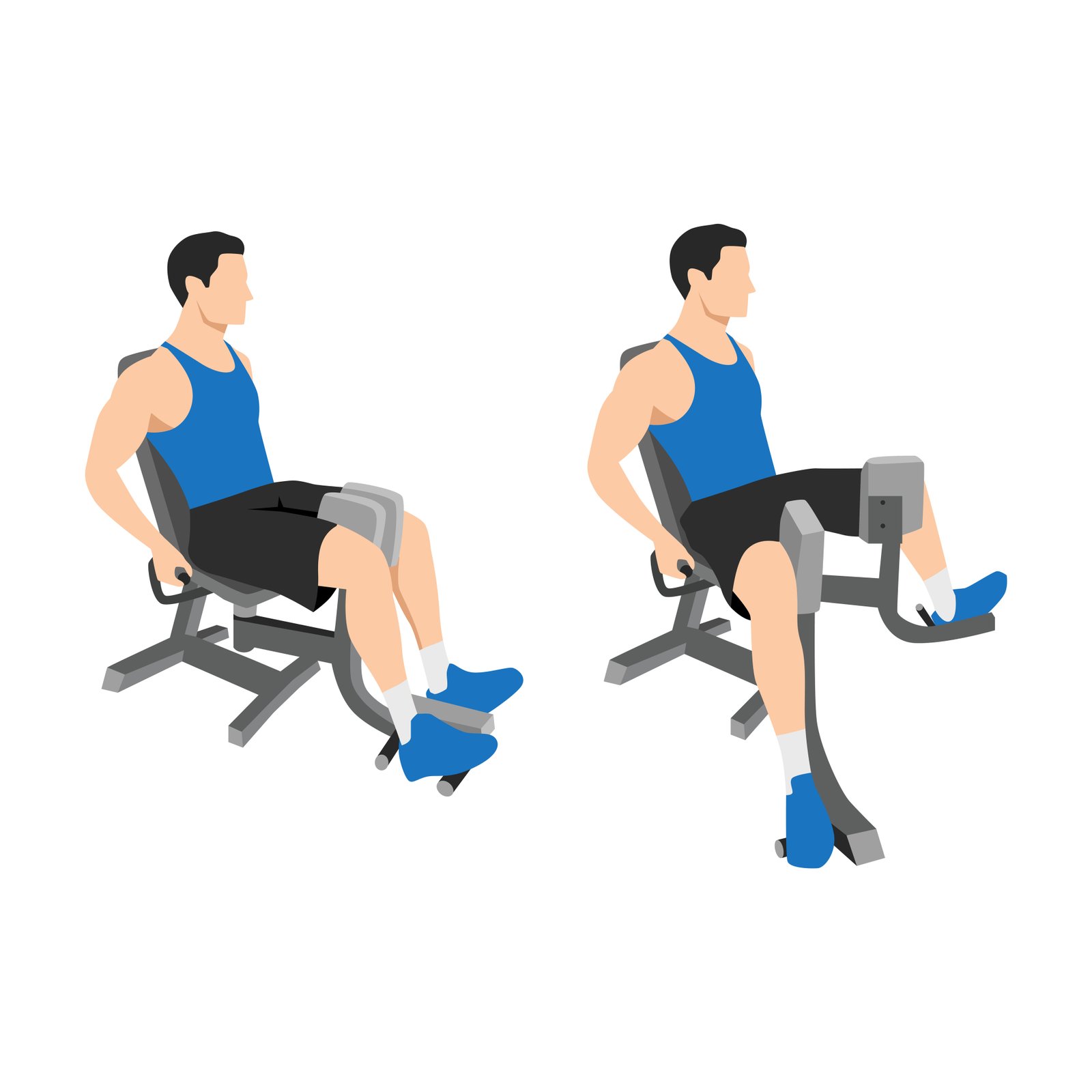LE BAS DU CORPS 5 bas du corps,exercices bas du corps,musculation bas du corps