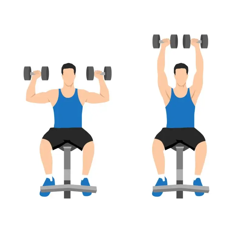 Developpé Haltères Assis Guide Complet pour Muscler Vos Épaules<gwmw style="display:none;"></gwmw> 1 Developpé Halteres Assis