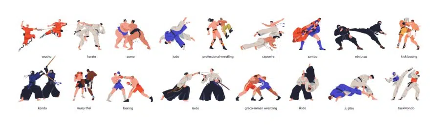Sports de combats