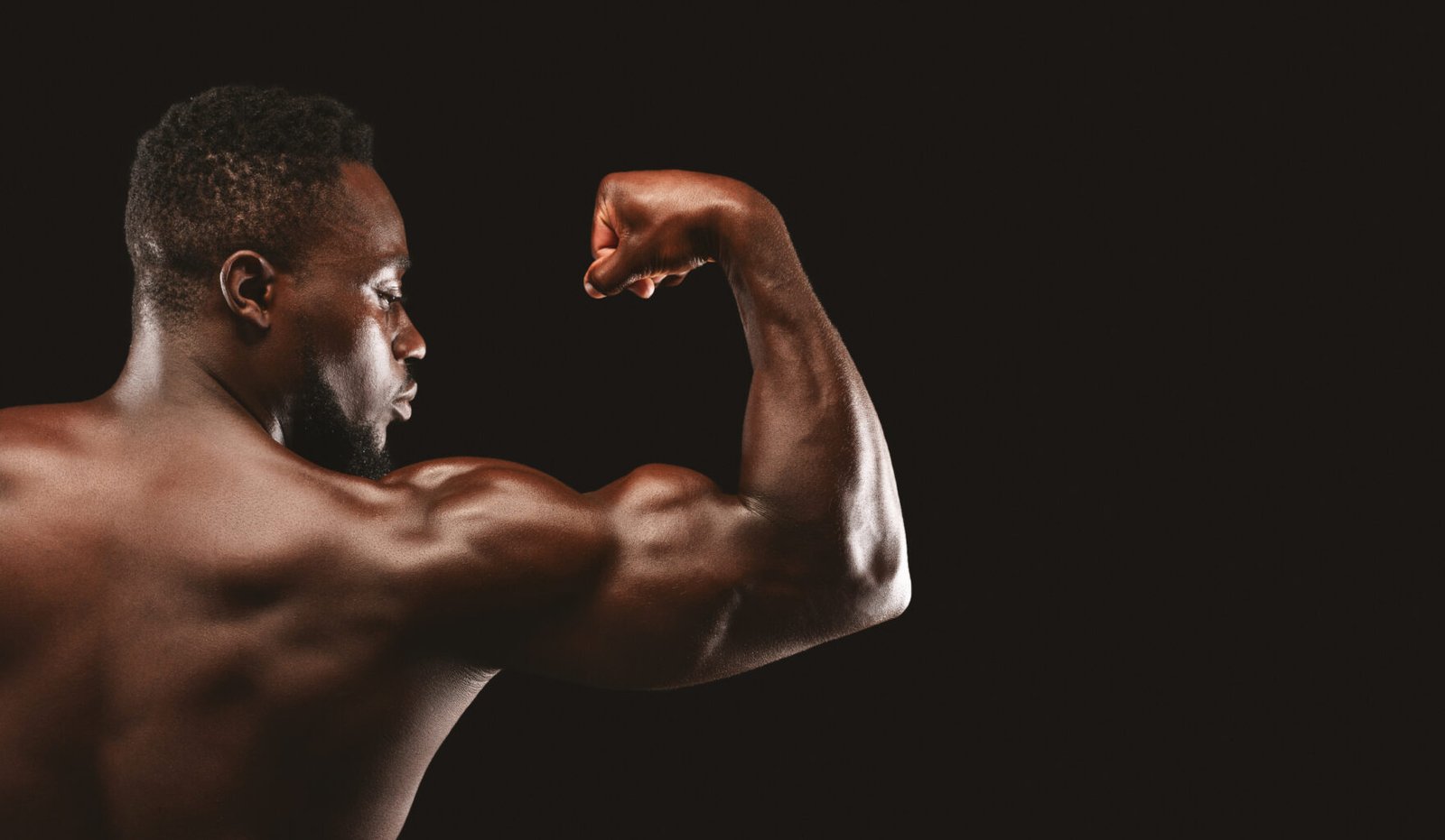 Programme musculation des bras 2 Programme musculation des bras