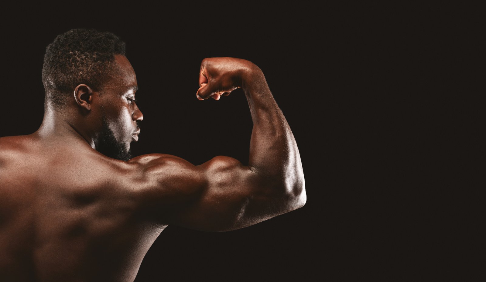 Programmes d'entraînement 4 Programme musculation des bras