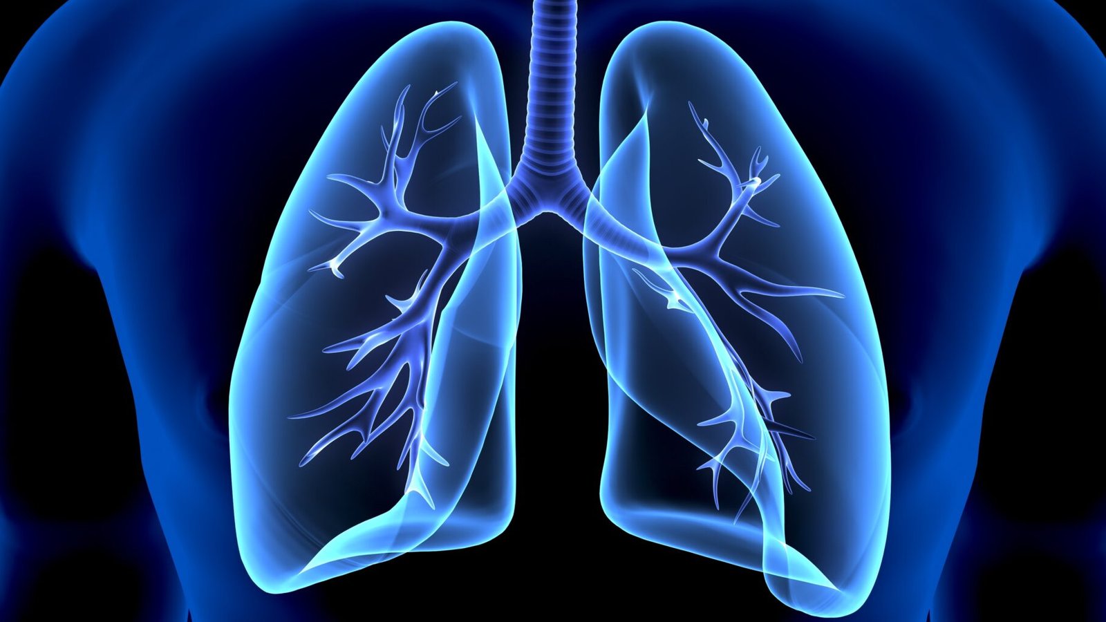 la respiration, l'appareil respiratoire, les poumons