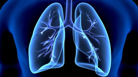 la respiration, l'appareil respiratoire, les poumons