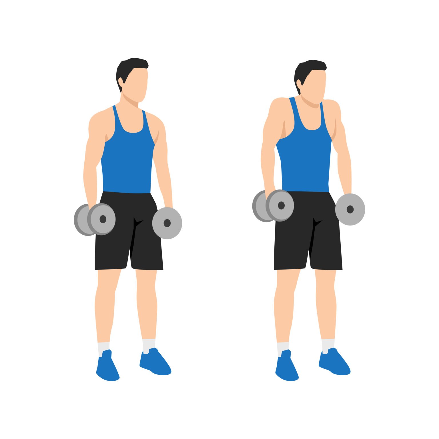 Shrugs haltères