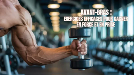 Avant-bras en contraction pendant un exercice de curl invers