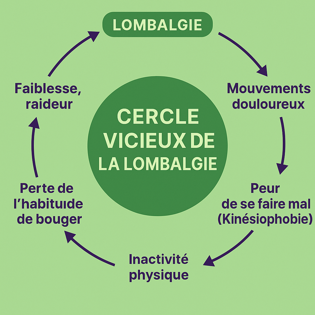 Activité physique et lombalgie :7 exercices pour soulager la douleur 2 activité physique et lombalgie,exercices adaptés mal de dos,7 exercices pour lombalgies