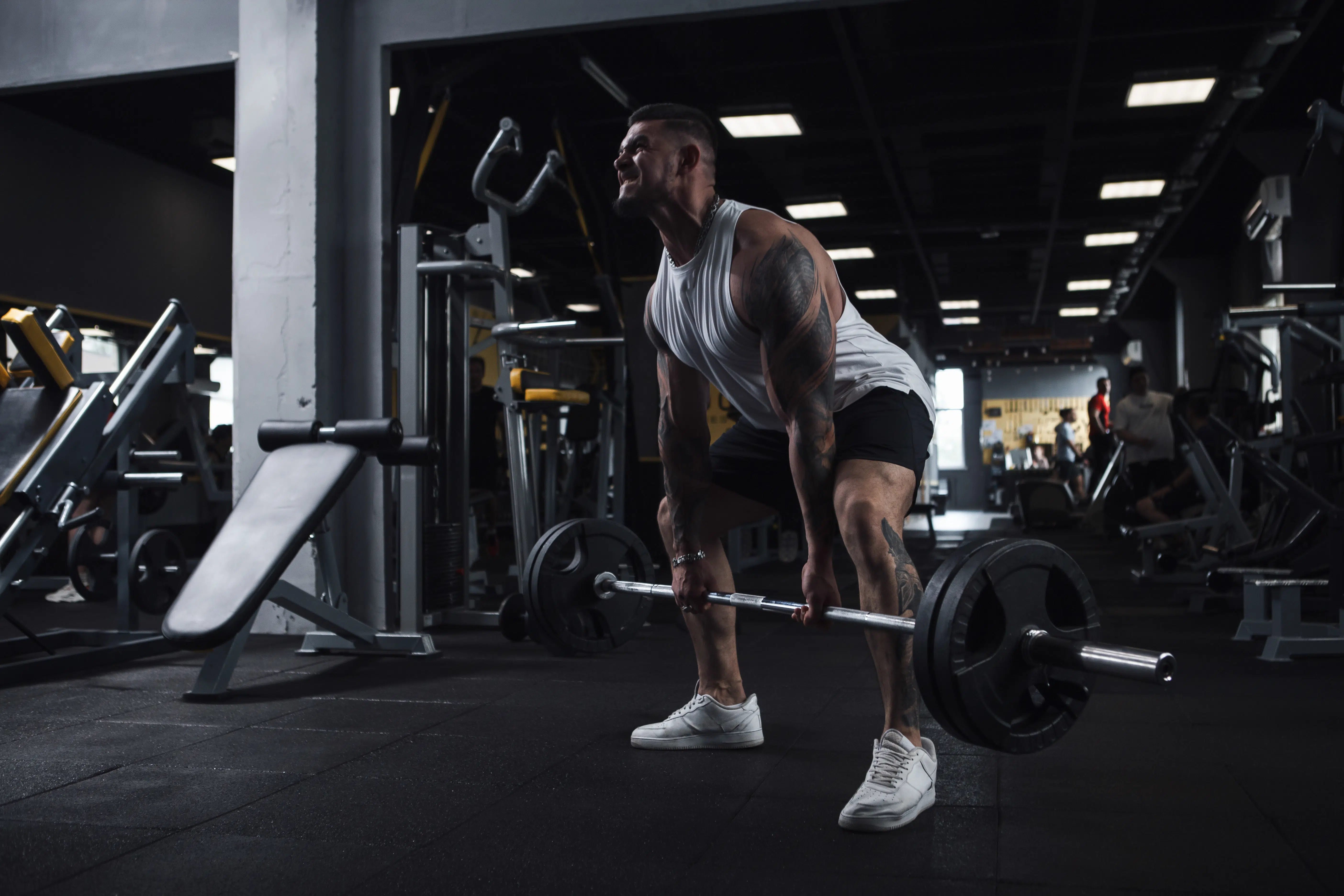Programme de musculation prise de masse – 5 Jours par semaine (Débutant, Intermédiaire, Confirmé) 1 05 jours par semaine