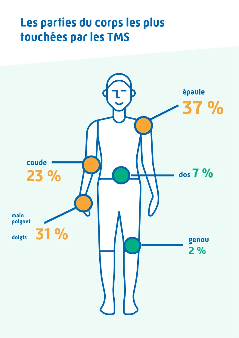 Infographie des parties du corps les plus touchées par les troubles musculo-squelettiques : épaule, coude, poignet et main, dos (rachis lombaire) et genou, avec leur répartition