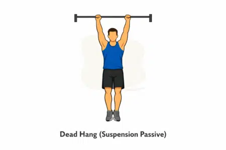 Dead hang (suspension passive), exercice musculation fitness