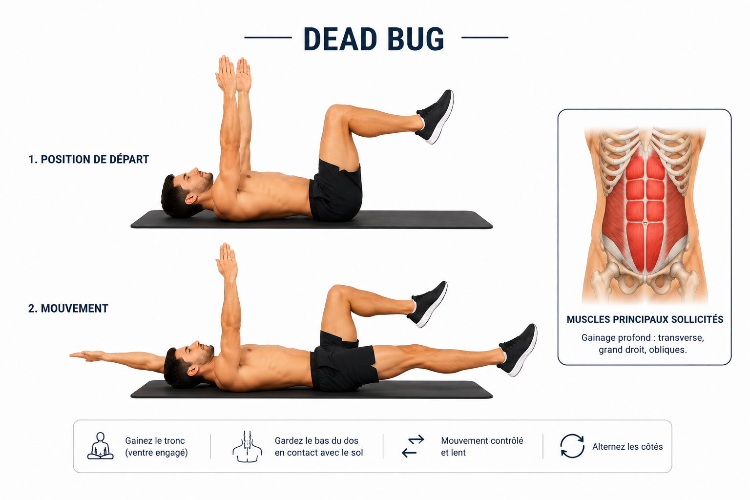 Technique du dead bug : bras et jambe opposés étendus, dos plaqué au sol