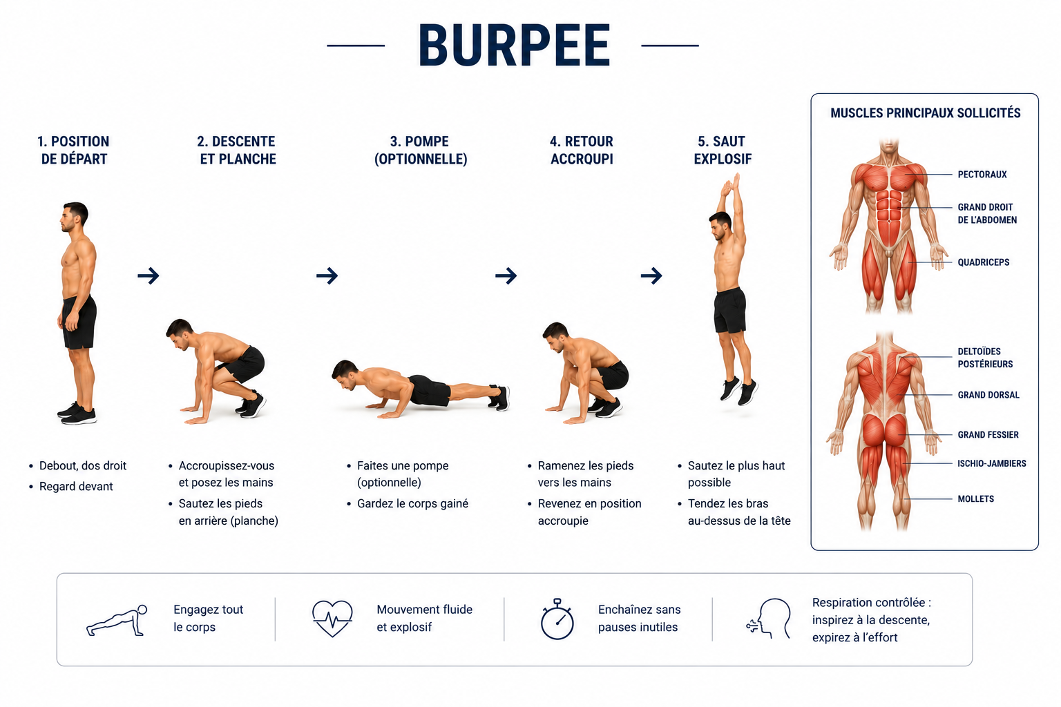 Technique du burpee : enchaînement squat, planche, pompe puis saut vertical