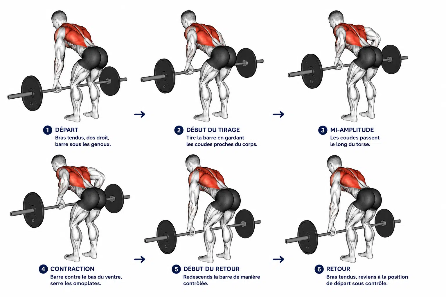 Démonstration de la technique du rowing barre buste penché : charnière de hanche, dos neutre, barre tirée vers le nombril avec les coudes proches du corps