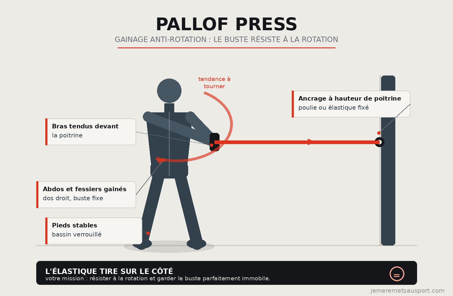 illustration du Pallof press (