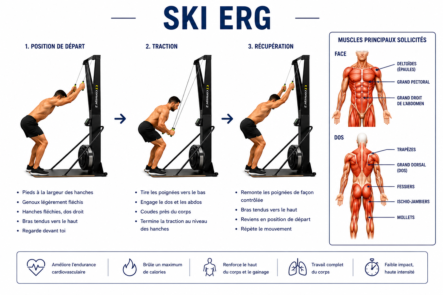 Guide complet de l'exercice SkiErg