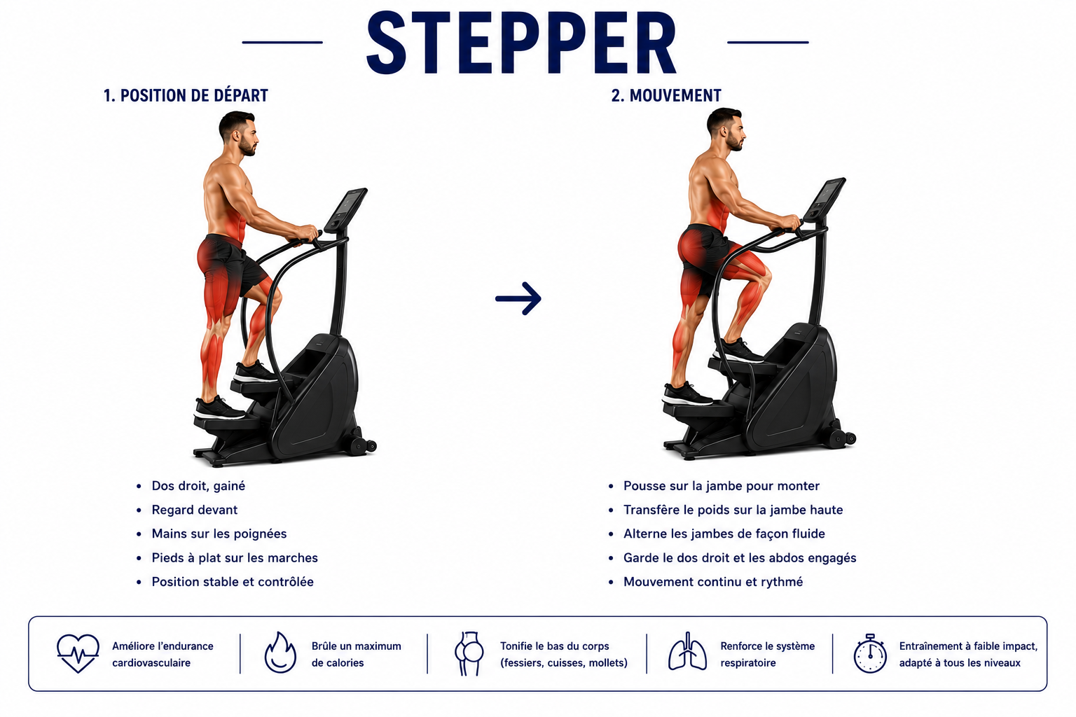 Stepper (machine à escalier) : deux pédales qui montent et descendent en alternance pour un cardio à faible impact