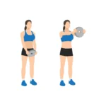 Épaules,exercices épaules,musculation épaules