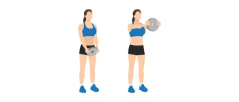 Élévation frontale avec disque : muscles et technique