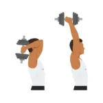 extension des des triceps