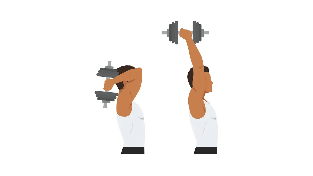 extension des des triceps