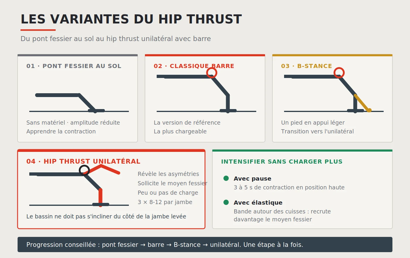 Hip thrust unilatéral avec barre et autres variantes : version classique, unilatérale, B-stance, avec élastique et avec pause